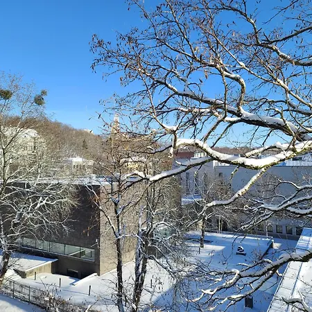 아파트 Center 04 카우나스