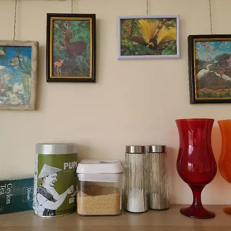 Center 04 * 카우나스