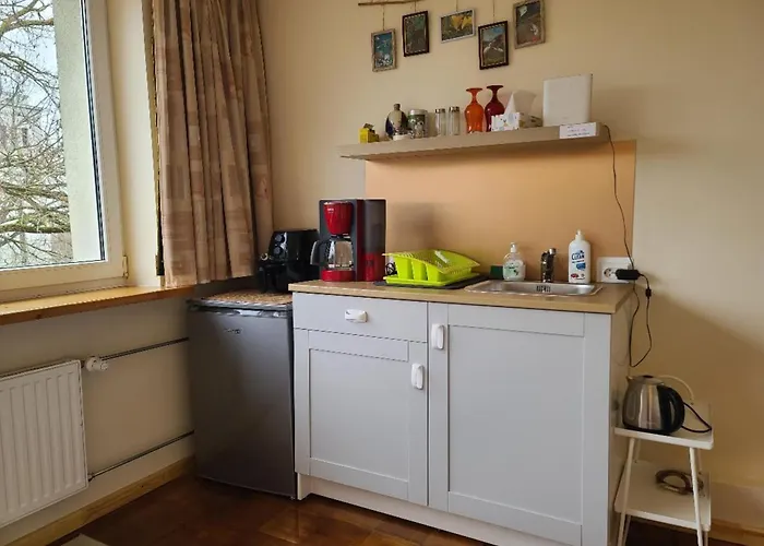 דירה Center 04 קובנה