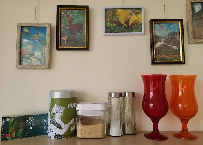 Center 04 * קובנה